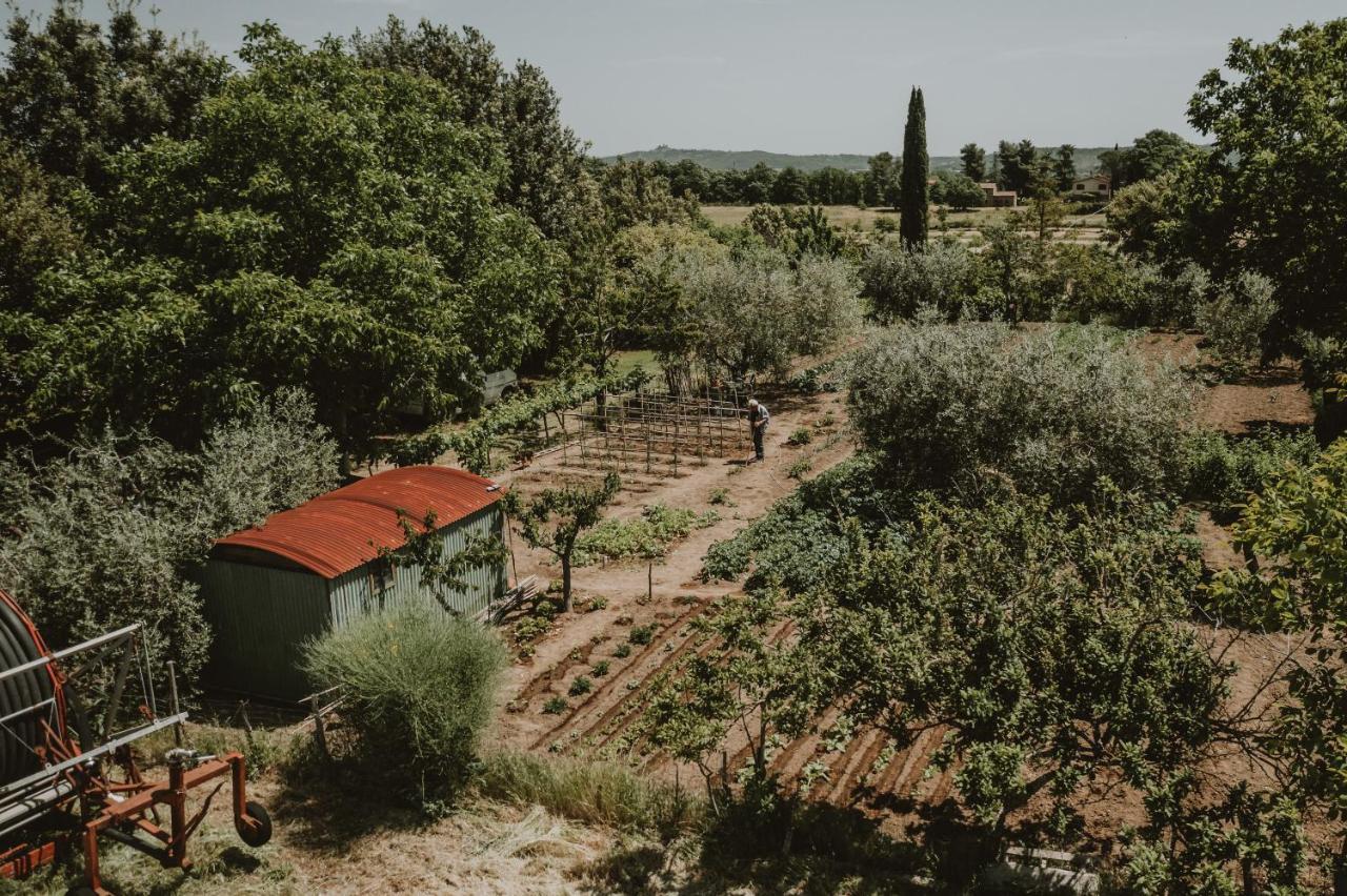 Agriturismo Cerqueto أكوابيندينتي المظهر الخارجي الصورة